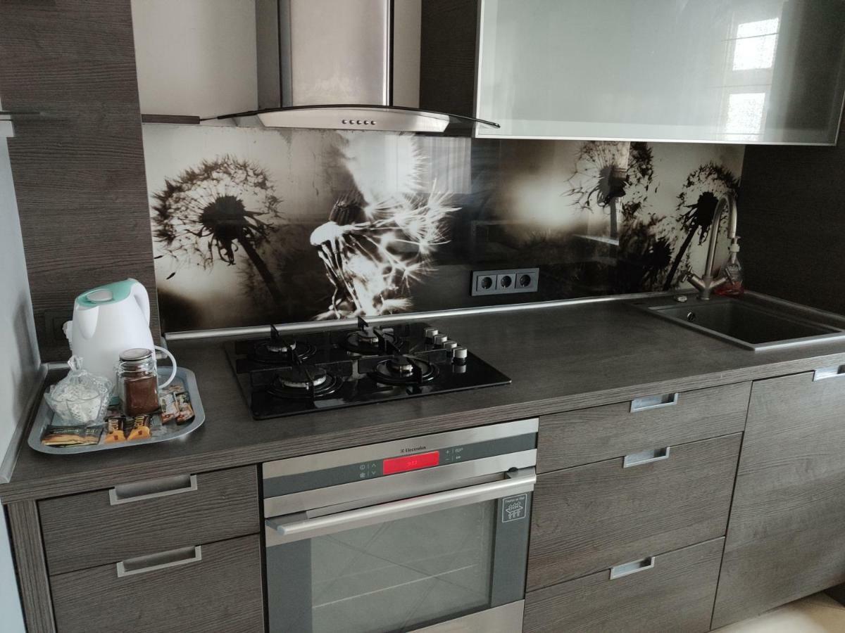 Nikoletos Apartamentai Panevėžys Zewnętrze zdjęcie