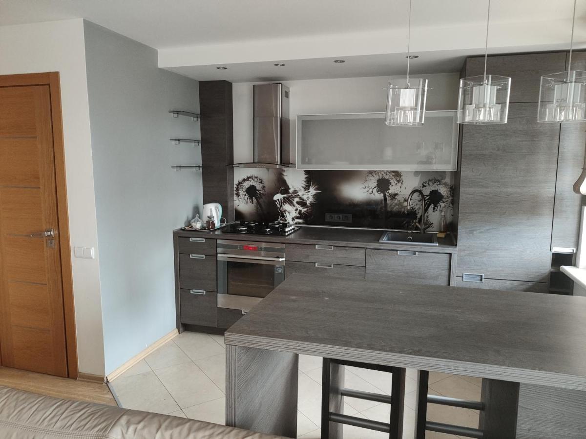 Nikoletos Apartamentai Panevėžys Zewnętrze zdjęcie